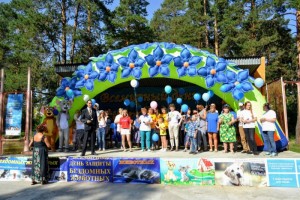 Всемирный день защиты бездомных животных