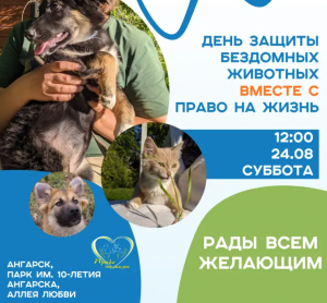 День защиты бездомных животных 2024