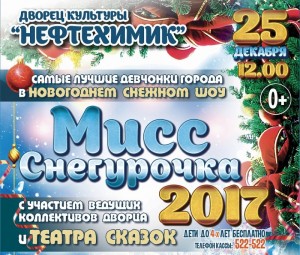 Новогоднее шоу «Мисс снегурочка 2017»
