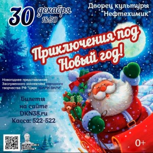 Цирковое представление "Приключения под Новый год"