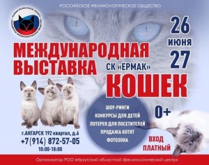 Международная выставка кошек