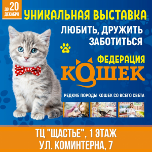 Выставка "Федерация кошек"