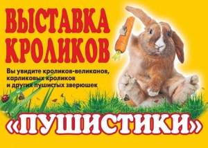 Открытие выставки кроликов "Пушистики"