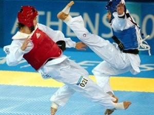 Фестиваль боевых искусств «Кунг-фу 2012»