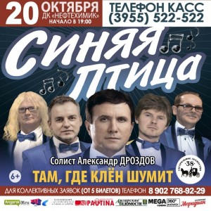 Концерт ВИА «Синяя птица»