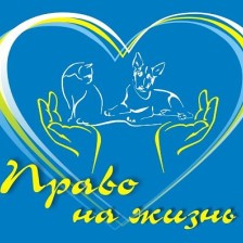 Благотворительный концерт, посвященный Всемирному Дню защиты животных