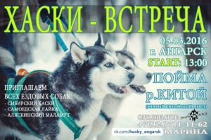 Хаски-встреча