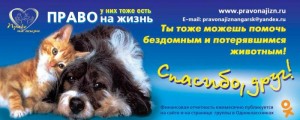 Акция помощи бездомным животным