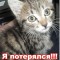 Аватарка участника Серыш