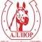 Аватарка участника Аллюр