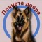 Аватарка участника Приют Планета добра