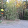 img_4084.jpg
