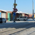 IMG_9844_street-dogsk1.JPG