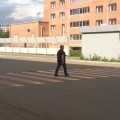 zebra_kras_00.jpg