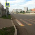 zebra_kras_01.jpg
