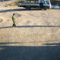 c56-p1a6kj8mrg16fj6c54je150icub4.jpg