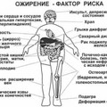 Роспотребнадзор пригрозил сибирякам массовым ожирением