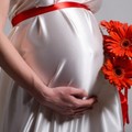 b95-p1955b8g1m1dmk54ts5nj4pk0g4.jpg