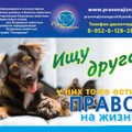 a6c-p19e87q3sr16t91d2m87bj9e1o854.jpg