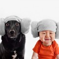fd9-p19ks0spse9qoaged4a4tfehg4.jpg