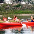 bff-p19sqiqbfe167fohs1kciguf1qq64.jpg