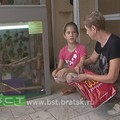 347-p19tc2mnp55qr1gthhpc1trj9gf4.jpg