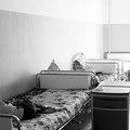 2c6-p19tm6ok38tcdam4eab1fj41r3n4.jpg