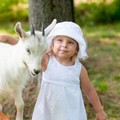 c40-p19u6rpiqv169b9h8ue919prce14.jpg