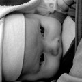 994-p1a3jc9lkdgjd167g1p6v1fan18ob4.jpg