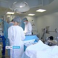 e2d-p1adfg9qod133hk50q1hrr6184v4.jpg