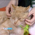 7c8-p1agfednlu16nc1830qfc1gdk100b4.jpg
