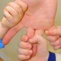 a61-p1ah5eqf97bi117e1qu7tbpg374.jpg