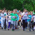 a11-p1aj6jl8gu3so1gq1urlt19s7n4.jpg