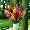 a8e-p1akuqpckc1n60d1u1dl51c9vrth4.jpg