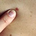 74f-p1ao0m31e8ohpke61ovs1t2f1kr84.jpg