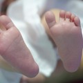 cdc-p1ar9mam0h45b1sjs1fpa1h31kll4.jpg