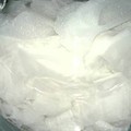 45d-p1atj0d5cu12ohomiuek1ccpdng4.jpg