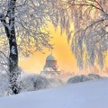 e3e-p1b6npjg9n1kd6afml3i13npt654.jpg