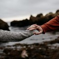 db0-p1btj9ijkk17u313a4eeleq1bq94.jpg