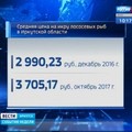 a7b-p1c11m2ubboml1b31u3qg7meua4.jpg