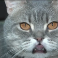 2ec-p1f5ci1eqfdlm1jgs89712p0136f4.png
