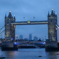 194-p1fkkejg9gkdjm59nln1hb9vj14.png