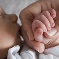 4c6-p1g3i642kbe4hpm31nma24r122l4.jpg