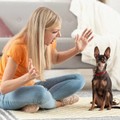 f0a-p1g924annfgh41spnjqph5mm0l4.jpg