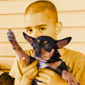 c0d-p1gd5suvlnvdit21lk528f7q4.png
