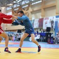 1f9-p1drs2jcmd1b7k18vo12high8k9n5.jpg