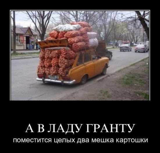 autodemotivator_16.jpg