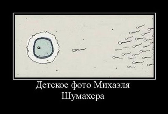 7e57c9411b6566d4559edf6ead10816e-1336931642_124.jpg