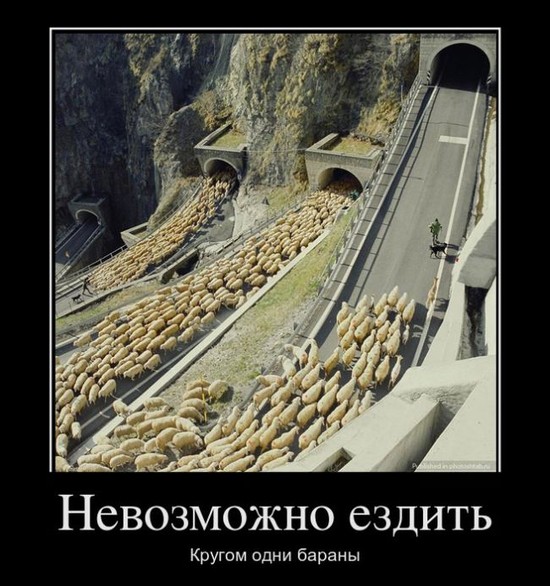 a8b478081c493293228685b222d55690-uboynye-demotivatory-33-sht_2.jpeg