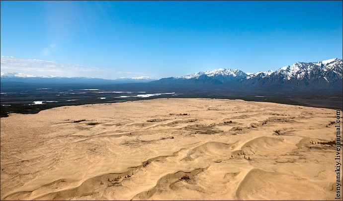 kodar2011_3.jpg